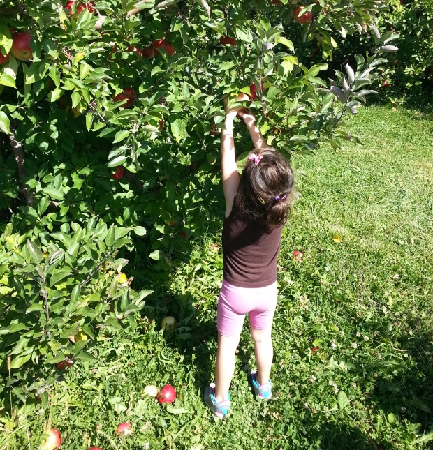 Brenna insisted on only picking the "high" apples. 