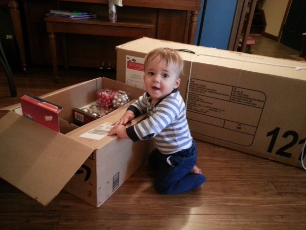 Langston Thomas, intrepid explorer of mysterious new cardboard boxes.